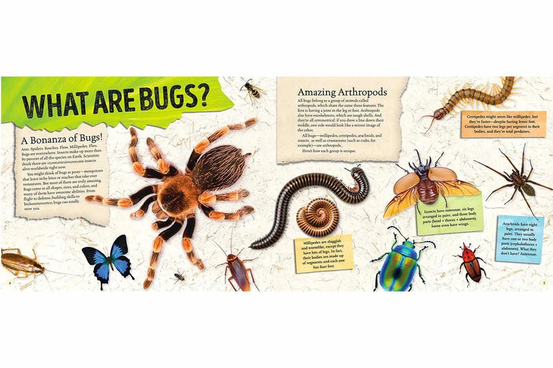 Amazing World: Bugs-Activity: 繪畫貼紙 Drawing & Sticker-買書書 BuyBookBook
