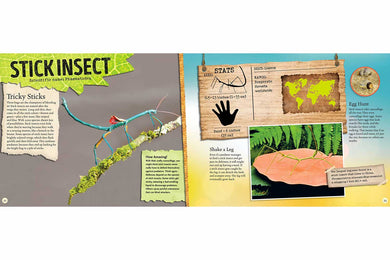 Amazing World: Bugs-Activity: 繪畫貼紙 Drawing & Sticker-買書書 BuyBookBook