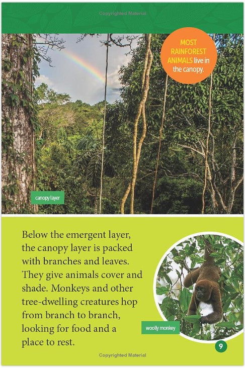 Amazon Animals (L3) (National Geographic Kids Readers)-Nonfiction: 參考百科 Reference & Encyclopedia-買書書 BuyBookBook
