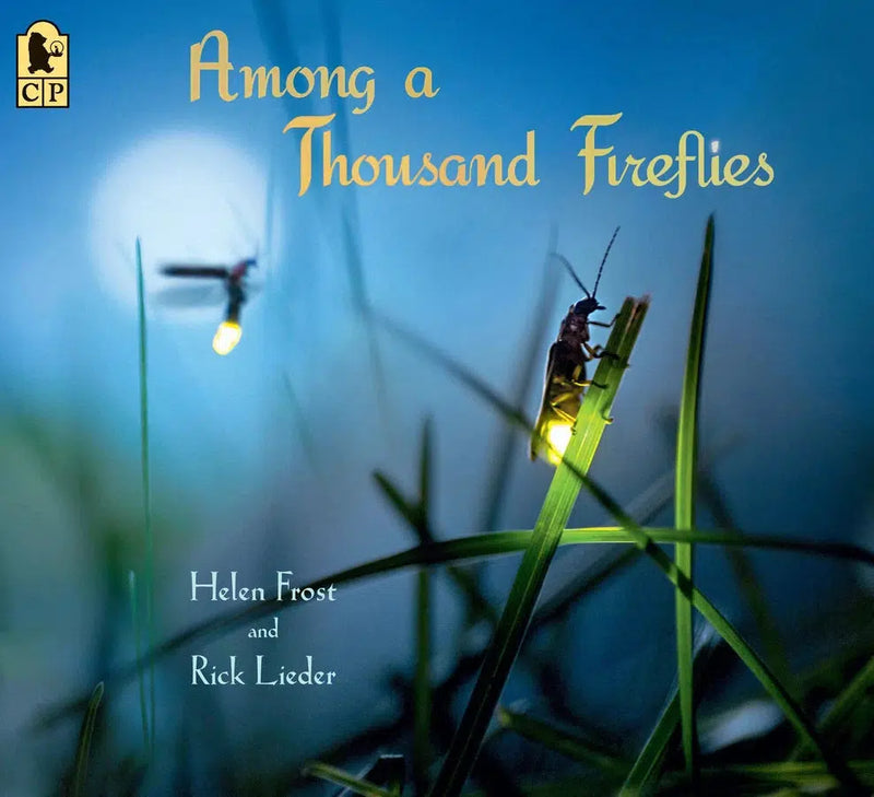 Among a Thousand Fireflies-Children’s / Teenage general interest: Nature and animals-買書書 BuyBookBook