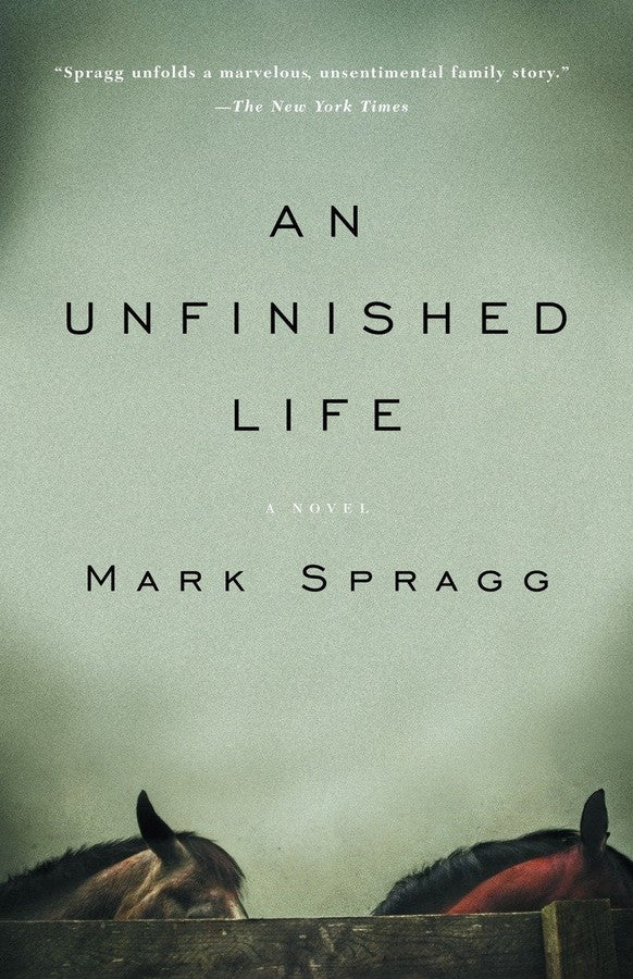 An Unfinished Life-Fiction: general and literary-買書書 BuyBookBook