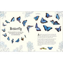 An Anthology of Intriguing Animals (Hardback) DK UK