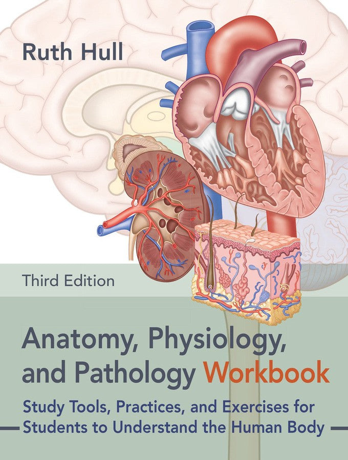 Anatomy, Physiology, and Pathology Workbook, Third Edition-Medicine and Nursing-買書書 BuyBookBook