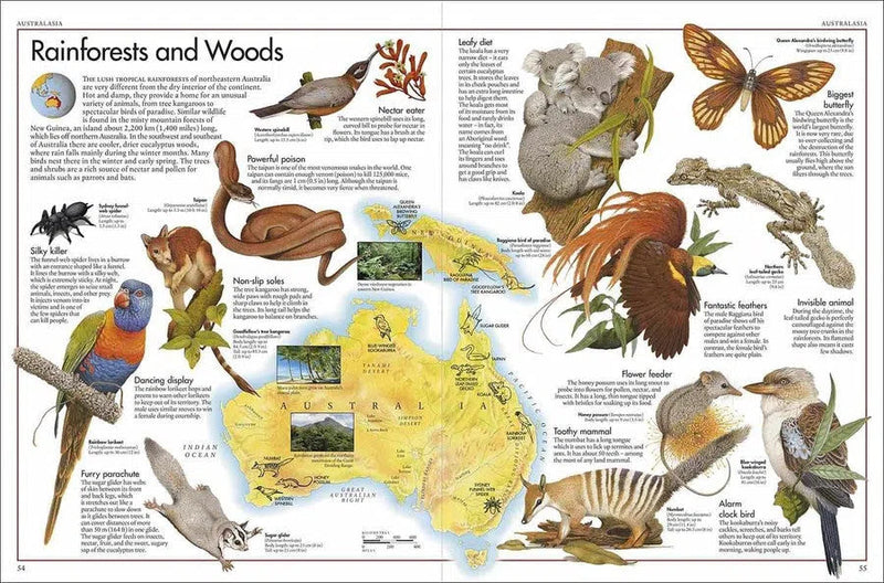 Animal Atlas, The DK UK