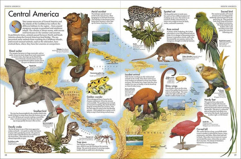 Animal Atlas, The DK UK