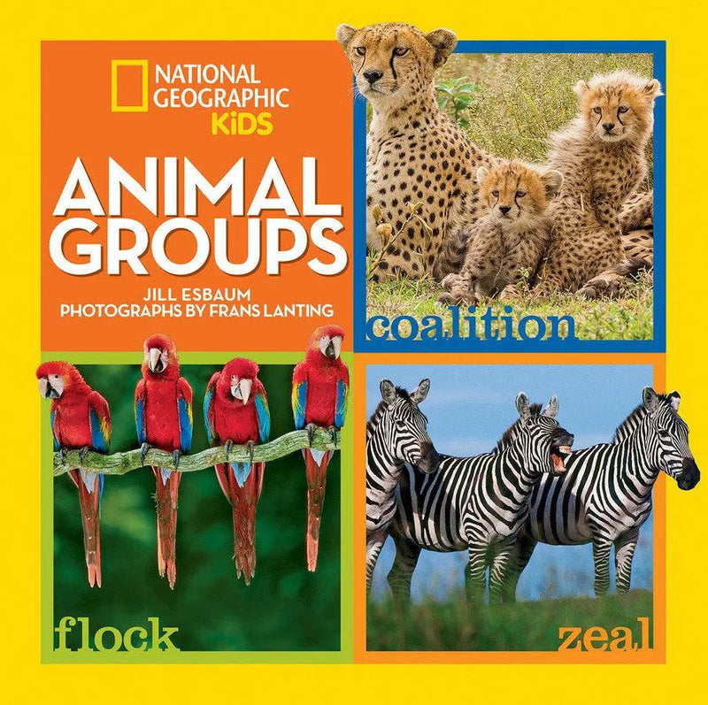 Animal Groups-Children’s / Teenage general interest: Nature and animals-買書書 BuyBookBook