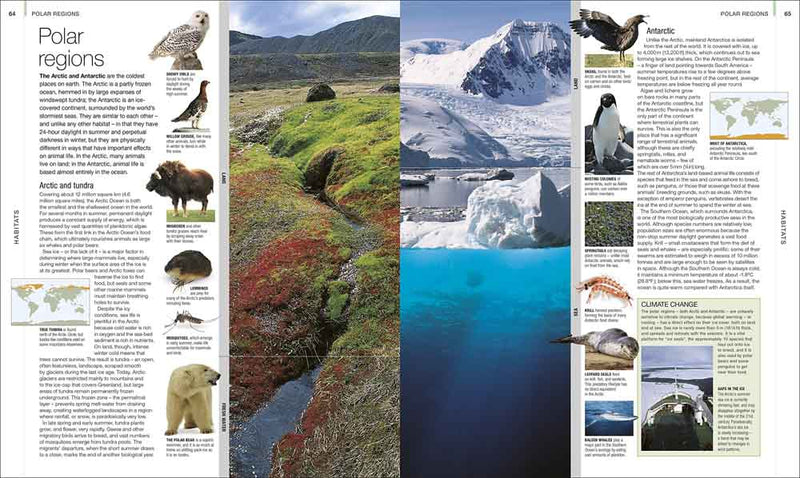 Animal - The Definitive Visual Guide - 買書書 BuyBookBook