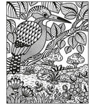 Animals Magic Painting Book Usborne