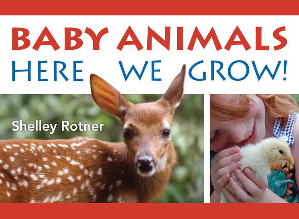 Baby Animals!-Children’s / Teenage general interest: Nature, animals, the natural world-買書書 BuyBookBook