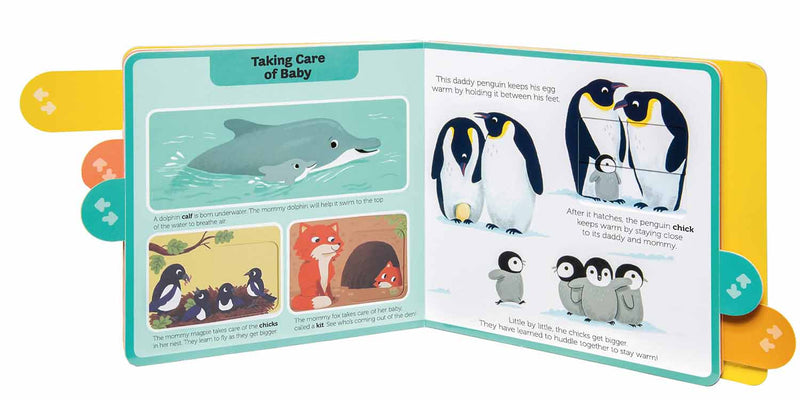 Baby Animals (Board book) - 買書書 BuyBookBook