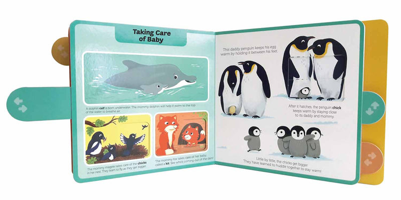 Baby Animals (Board book) - 買書書 BuyBookBook