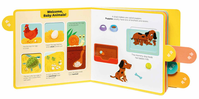 Baby Animals (Board book) - 買書書 BuyBookBook