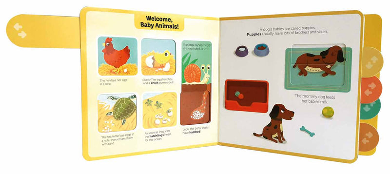 Baby Animals (Board book) - 買書書 BuyBookBook