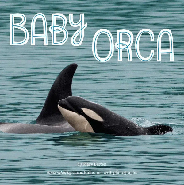 Baby Orca-Children’s / Teenage general interest: Nature and animals-買書書 BuyBookBook