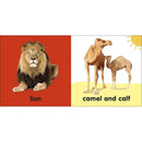 Baby Touch and Feel - Bible Animals (Board book) DK UK