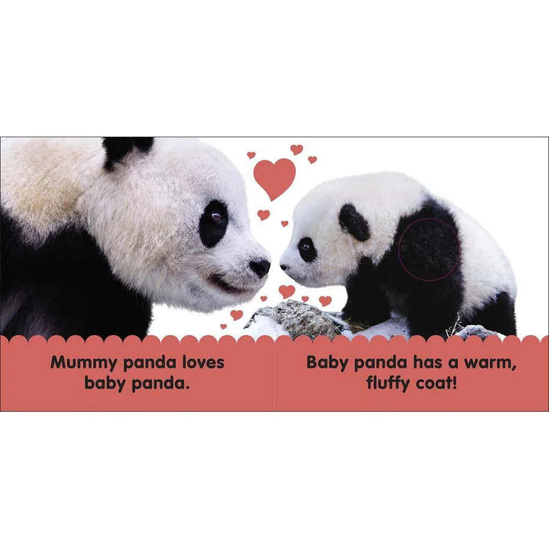 Baby Touch and Feel - Panda (Board book) DK UK