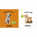 Baby Touch and Feel Baby Animals (Board book) DK UK