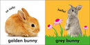 Baby Touch and Feel Bunny-Nonfiction: 學前基礎 Preschool Basics-買書書 BuyBookBook