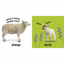 Baby Touch and Feel Farm Animals (Board book) DK UK