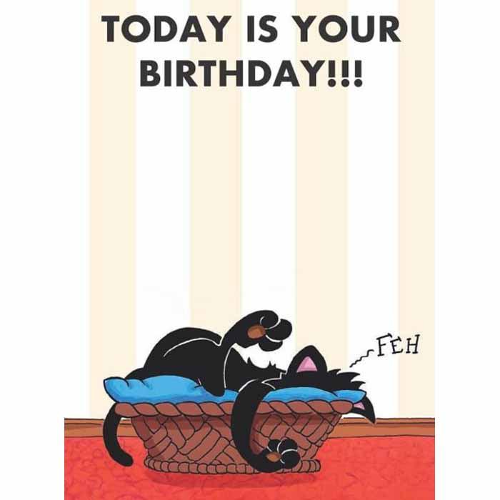 Happy Birthday, Bad Kitty (Graphic Novel) (Hardback) First Second