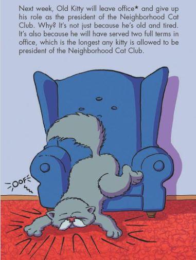 Bad Kitty for President (Graphic Novel) (Hardback) Macmillan US