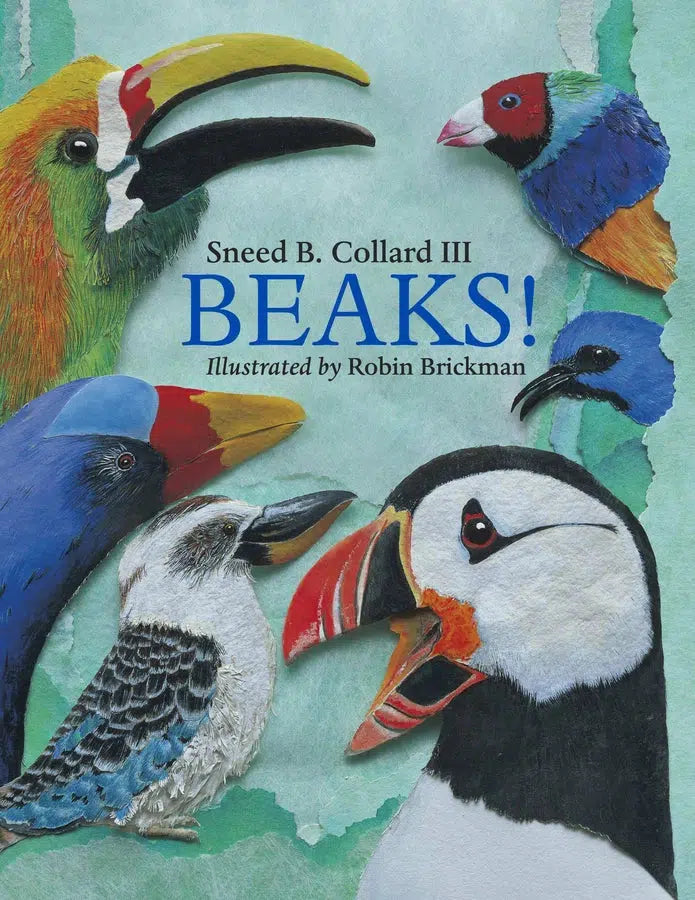 Beaks!-Children’s / Teenage general interest: Adventurers and outlaws-買書書 BuyBookBook