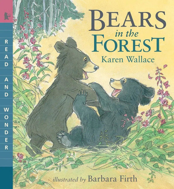 Bears in the Forest-Children’s / Teenage general interest: Nature and animals-買書書 BuyBookBook