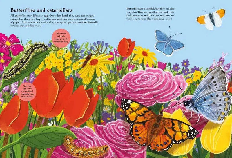 Beetles, Butterflies and other Minibeasts Nosy Crow