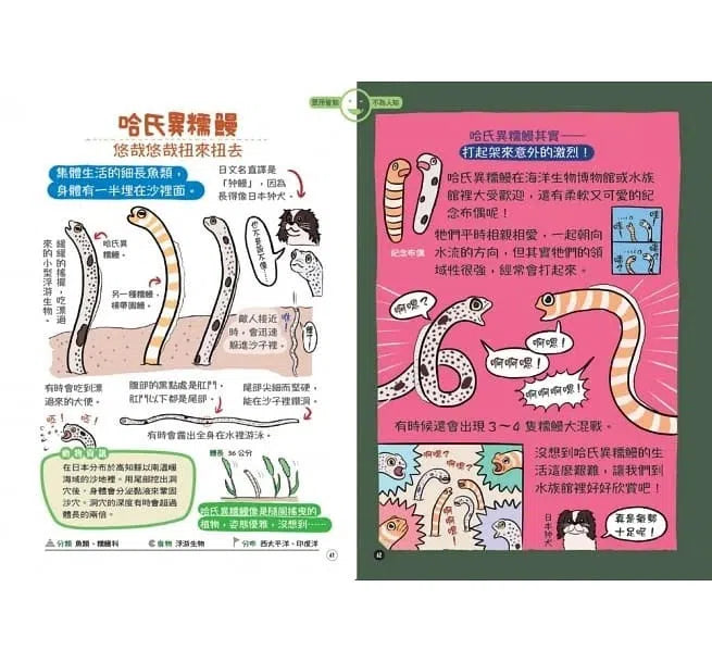 表裡不一的動物超棒的！圖鑑-非故事: 動物植物 Animal & Plant-買書書 BuyBookBook