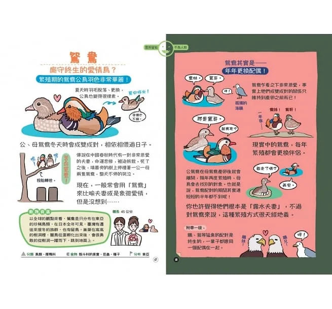 表裡不一的動物超棒的！圖鑑-非故事: 動物植物 Animal & Plant-買書書 BuyBookBook