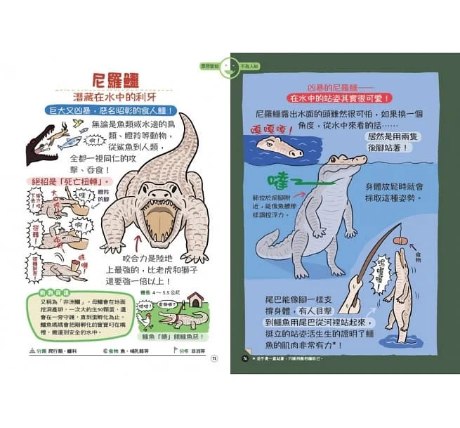 表裡不一的動物超棒的！圖鑑-非故事: 動物植物 Animal & Plant-買書書 BuyBookBook