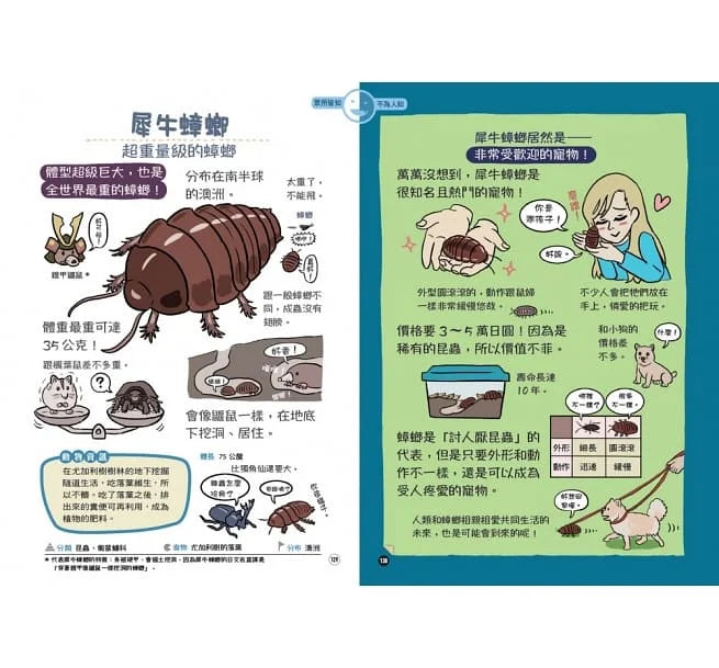 表裡不一的動物超棒的！圖鑑-非故事: 動物植物 Animal & Plant-買書書 BuyBookBook