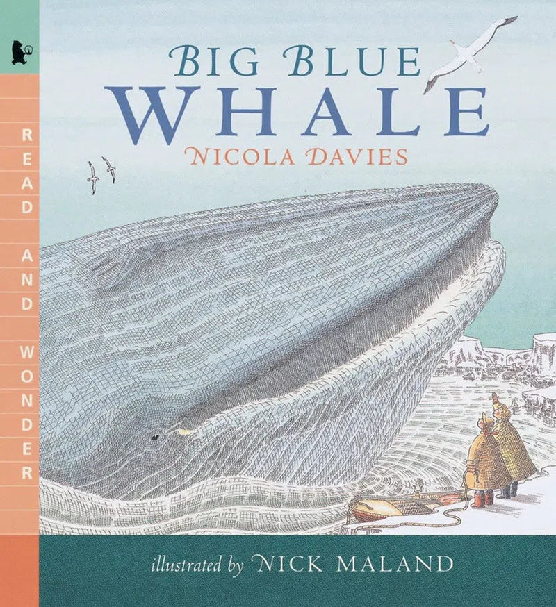 Big Blue Whale-Children’s / Teenage general interest: Nature and animals-買書書 BuyBookBook