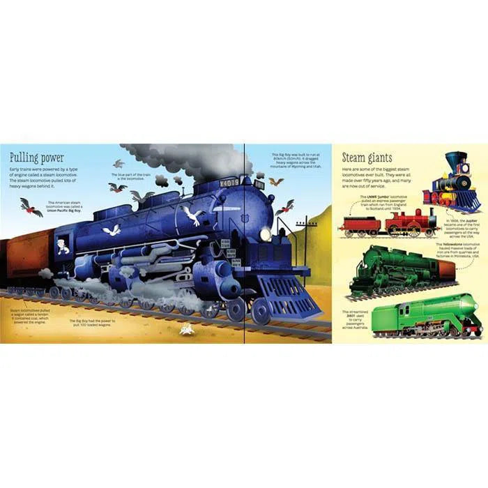 Big book of Trains Usborne