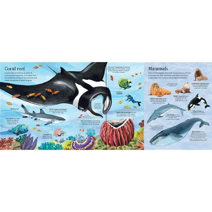 Big book of sea creatures Usborne