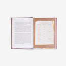 Big Ideas from History: a history of the world for You