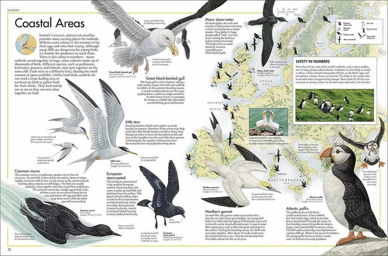 Bird Atlas, The DK UK