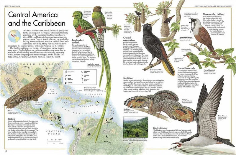 Bird Atlas, The DK UK