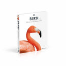 Bird (Hardback) DK UK