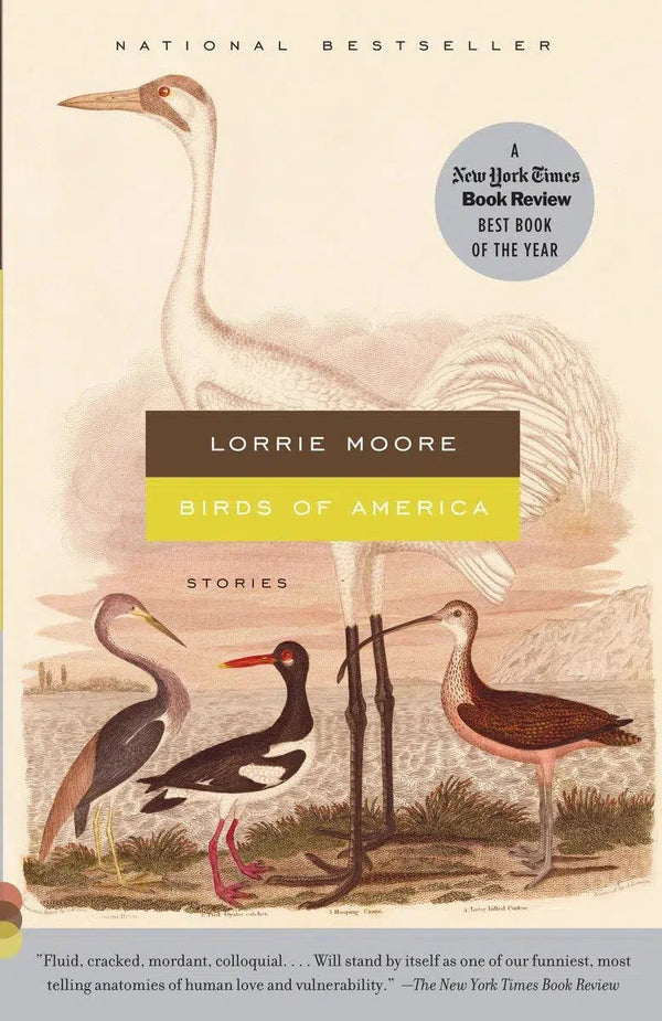 Birds of America-Fiction: Short stories and other special features-買書書 BuyBookBook