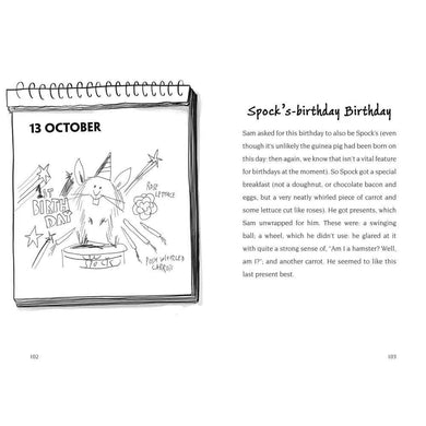 Birthday Boy (David Baddiel) Harpercollins (UK)