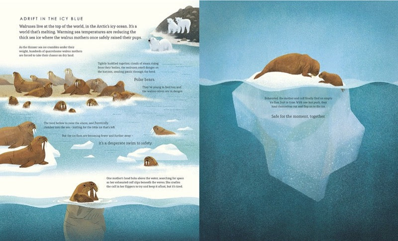 Blue Planet II - 買書書 BuyBookBook