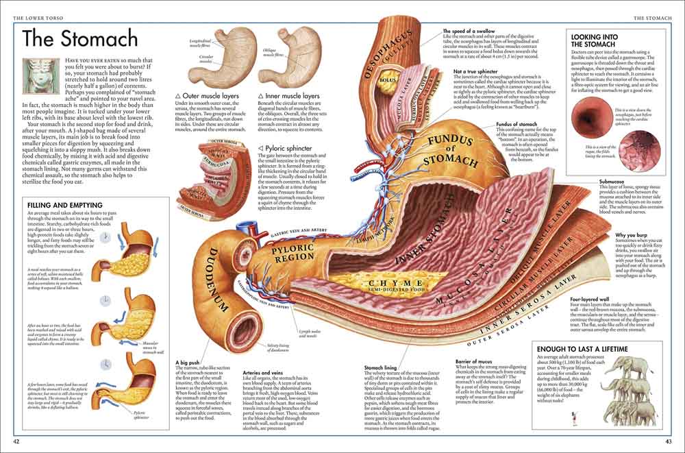 Body Atlas, The - A Pictorial Guide to the Human Body - 買書書 BuyBookBook