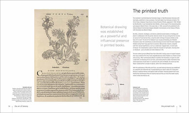 Botany for the Artist (Hardback) DK UK