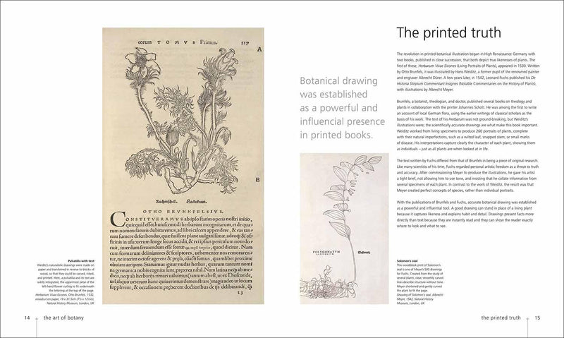 Botany for the Artist (Hardback) DK UK