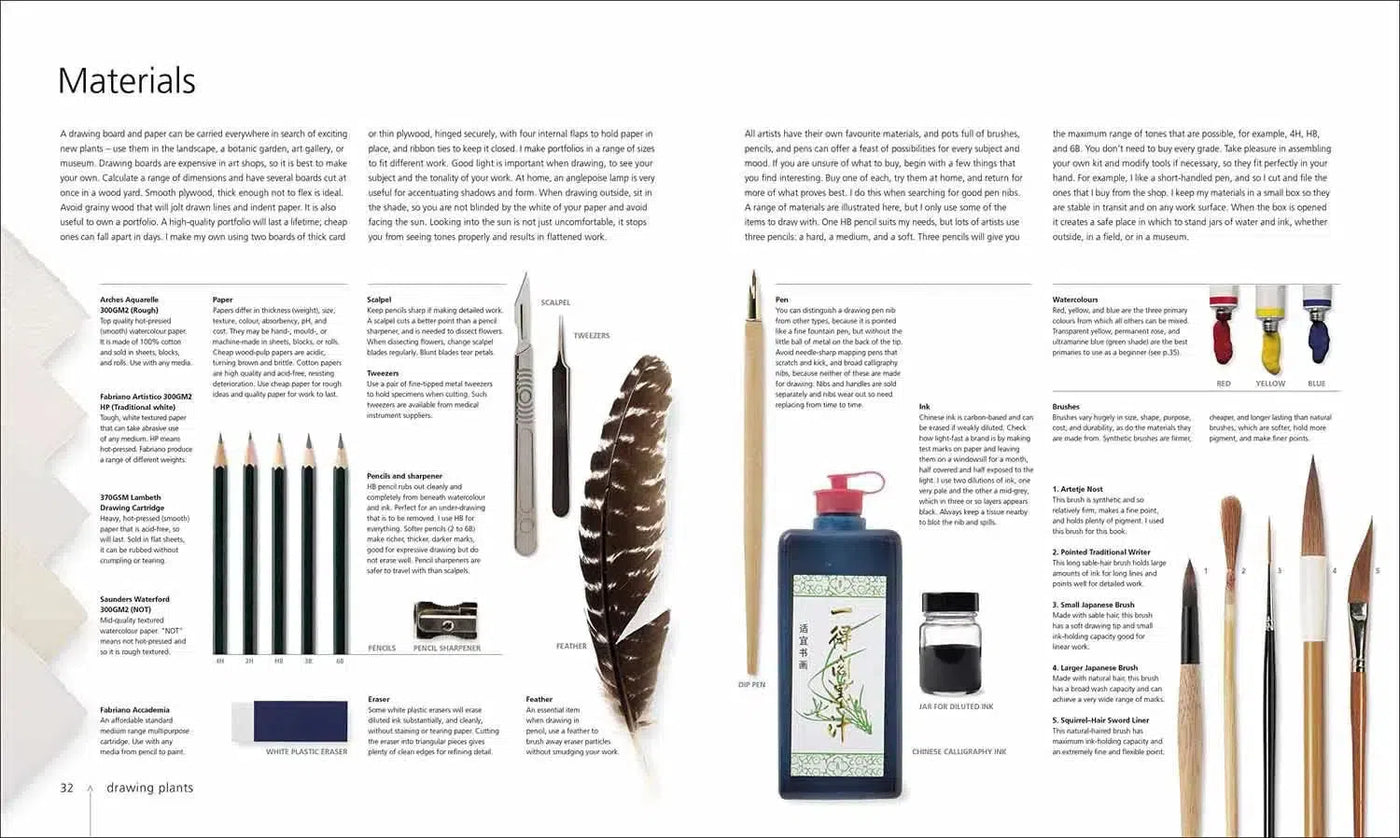 Botany for the Artist (Hardback) DK UK