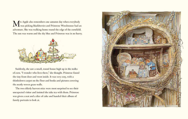 Brambly Hedge, The - The Brambly Hedge Pop-Up Book-Fiction: 橋樑章節 Early Readers-買書書 BuyBookBook