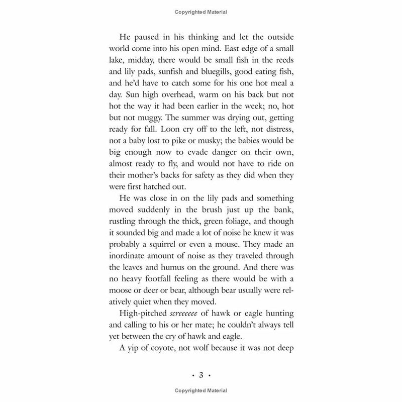 Brian's Hunt (Gary Paulsen)-Fiction: 歷險科幻 Adventure & Science Fiction-買書書 BuyBookBook
