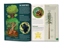 Britannica All New Children’s Encyclopedia – Updated Edition