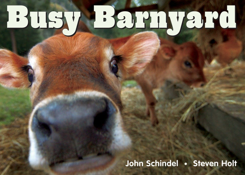 Busy Barnyard-Children’s / Teenage general interest: Nature and animals-買書書 BuyBookBook